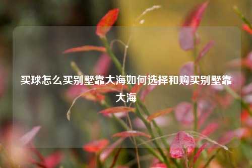 买球怎么买别墅靠大海如何选择和购买别墅靠大海