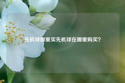 先机球哪里买先机球在哪里购买？