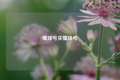 懂球号买懂球号