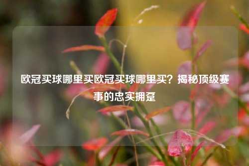 欧冠买球哪里买欧冠买球哪里买？揭秘顶级赛事的忠实拥趸