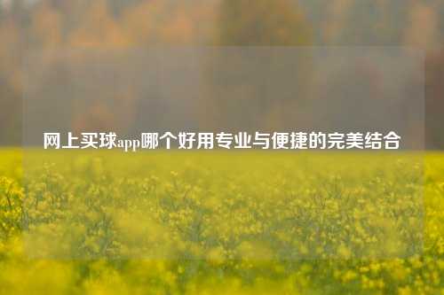 网上买球app哪个好用专业与便捷的完美结合