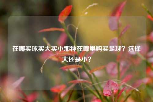 在哪买球买大买小那种在哪里购买足球？选择大还是小？